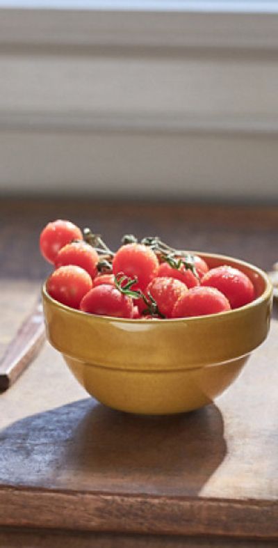Anthropologie The Rowen Portuguese Stoneware Nut Bowl