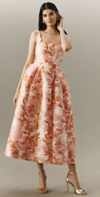 BHLDN - Callie Sleeveless Ruched Printed Charmeuse Midi Dress