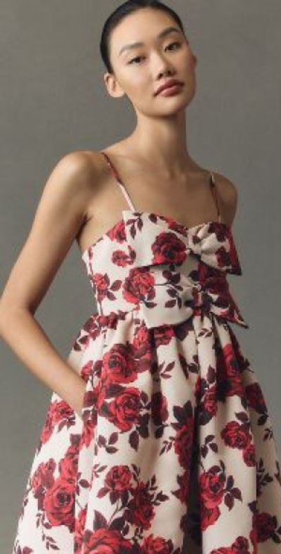 Sachin and Babi Dresses Sachin and Babi Dresses