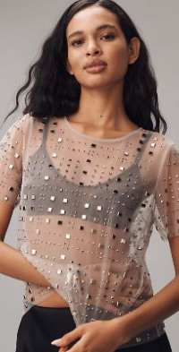 Sunday in Brooklyn Sheer Mesh Embellished Short-Sleeve Top