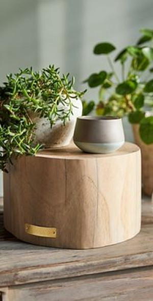 Terrain - Teak Riser