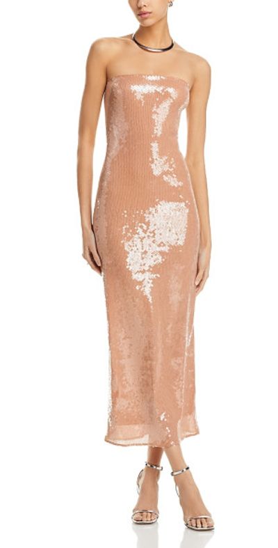 Bardot Dresses