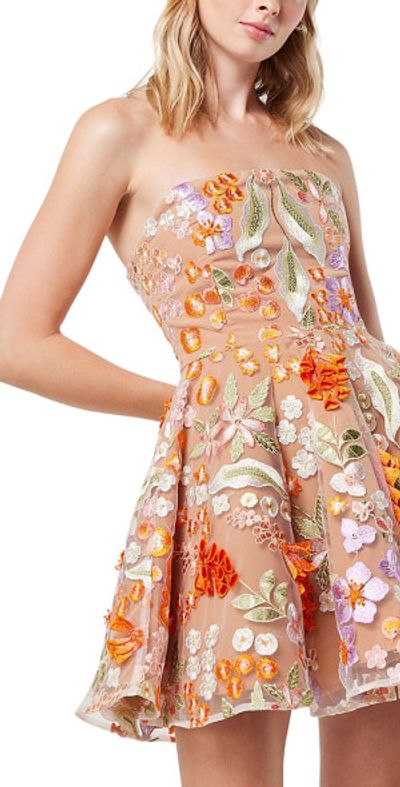 Elliatt Dresses