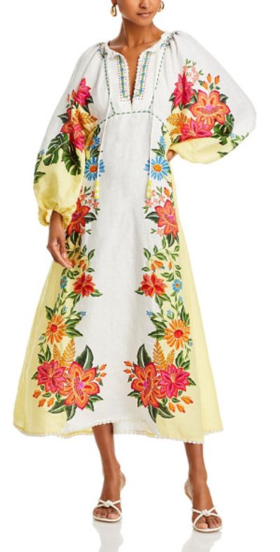 knee length dresses for ladies Farm Rio Women's Floral Insects V-Neckline Sleeveless Maxi Dress
