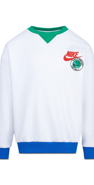 nike colorblock crewneck