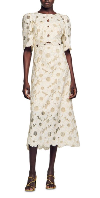 sachin and babi light blue dress Goddiva Embroidered top flutter sleeve maxi in sagegreen main image 0