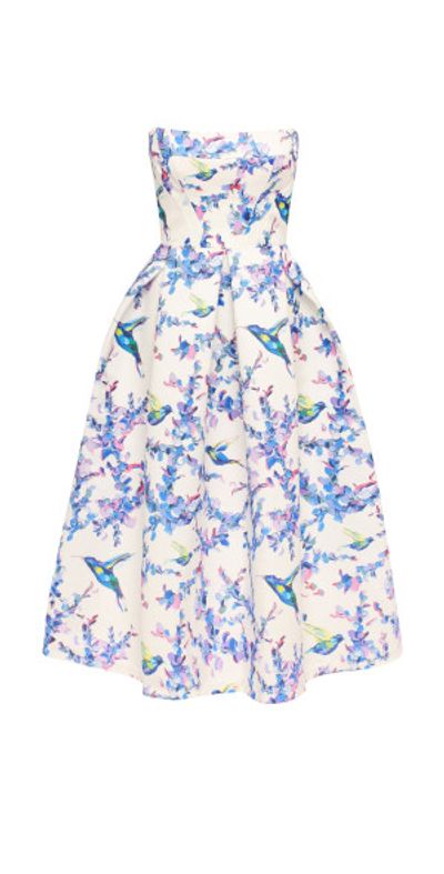 Milla - Strapless midi dress with bird and flower print, Garden of Eden