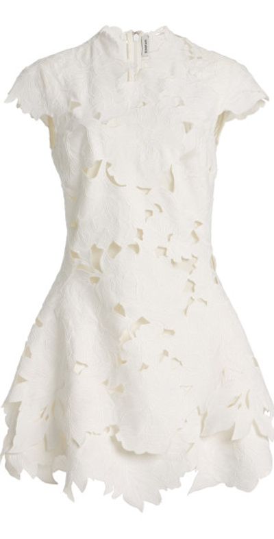 white midi dress with lace Petal and Pup Women's Camellia Midi Dress