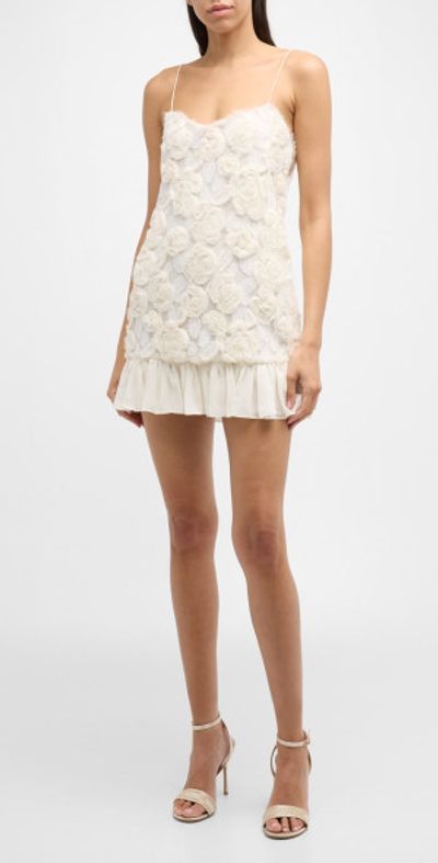 Alexis Dresses