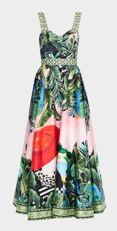 Alice + Olivia Dresses