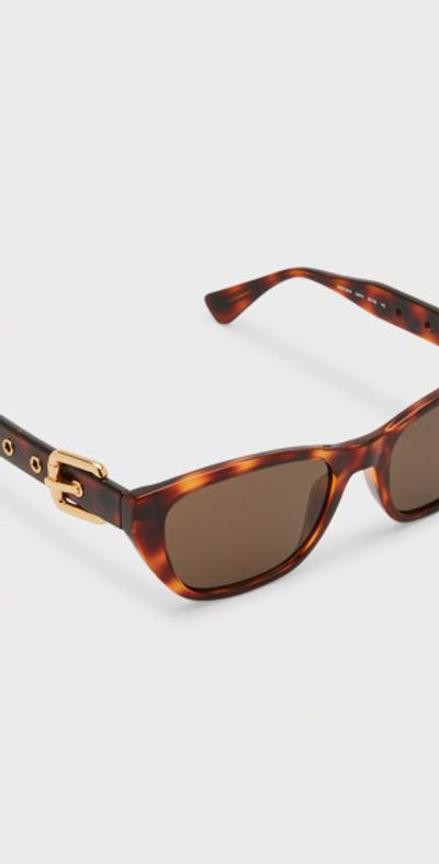 Moschino - Buckle Nylon & Plastic Cat-Eye Sunglasses