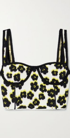 Cool Review About Lanvin Crop Top