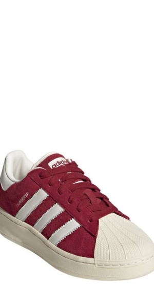 superstar adidas bordeaux
