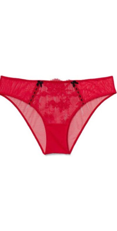 Adore Me Adore Me Yara Bikini Panties in Dark Red at Nordstrom, Size 1X