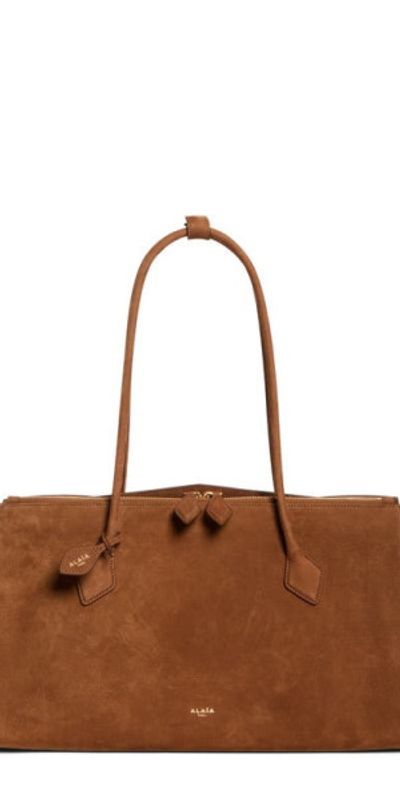 Alaïa Alaïa Le Teckel Suede Tote in Terre D Ombre at Nordstrom