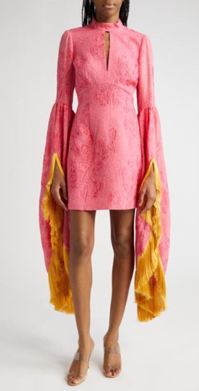 ALEMAIS Leonard Floral Cutout Fringe Long Sleeve Minidress in