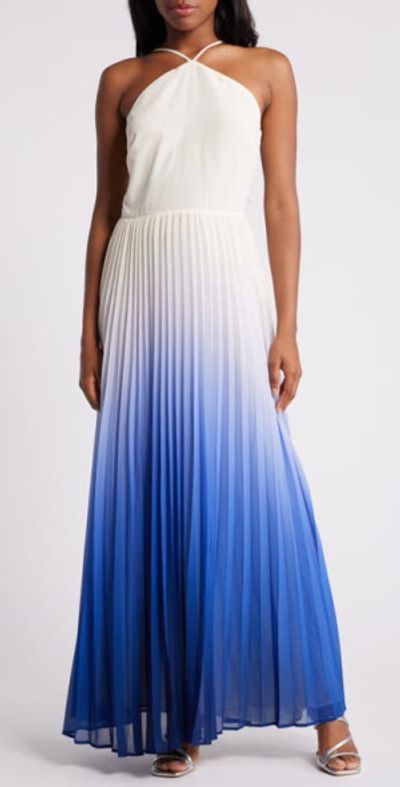sachin and babi light blue dress Chelsea28 Print Sleeveless Chiffon Maxi Dress in Blue