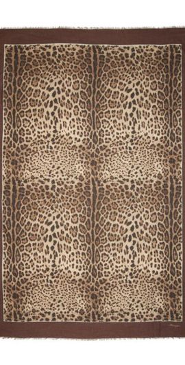 Dolce & Gabbana Dolce & Gabbana Leopard Print Signature Border Scarf in Light Brown Print at Nordstrom