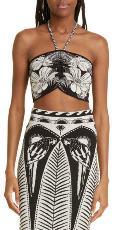 FARM Rio - Macaw Elegance Floral Knit Halter Top in Macaw Elegance Black at  Nordstrom