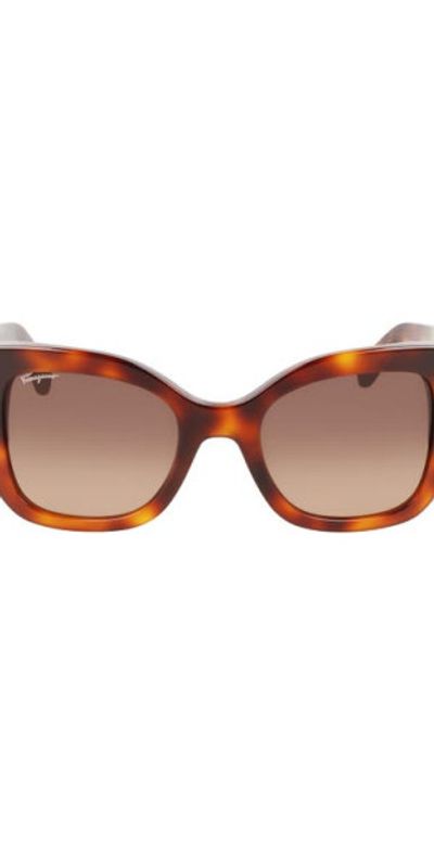 Salvatore Ferragamo Modified Rectangular  Brown Gancini Sunglasses Amazon.com: Salvatore Ferragamo SF1018S 214 Tortoise  main image 4