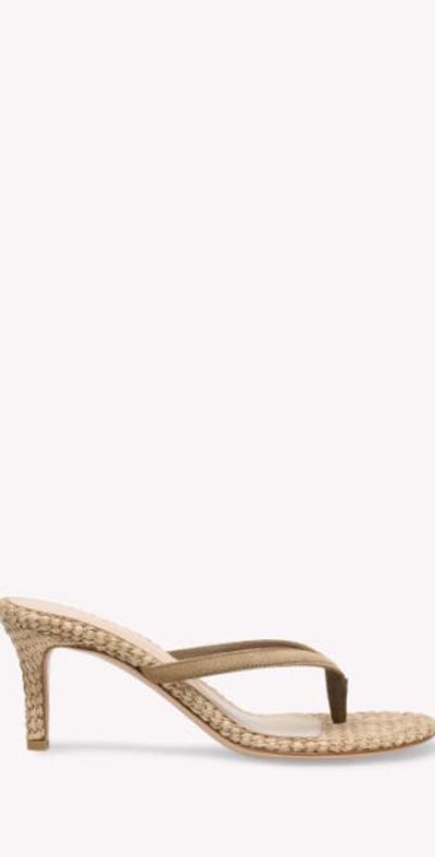 Gianvito Rossi Gianvito Rossi Calypso Sandals in Brown at Nordstrom, Size 37.5