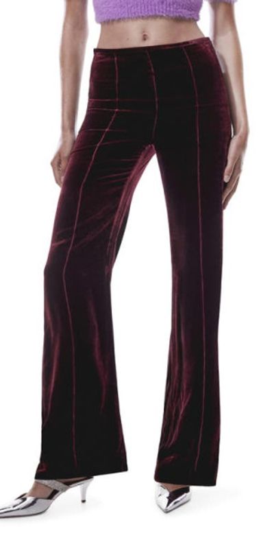 MANGO MANGO Seamed Flare Velvet Pants in Maroon
