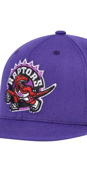 Mitchell & Ness - Men's Purple Toronto Raptors Hardwood Classics MVP ...