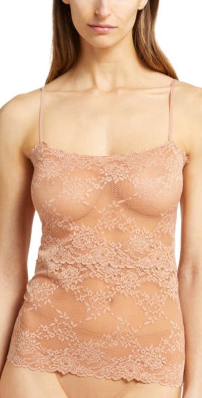 Natori Natori Heavenly Lace Camisole in Glow at Nordstrom, Size Medium
