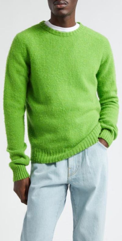 Noah - Shetland Wool Crewneck Sweater in Garden Leaf at Nordstrom