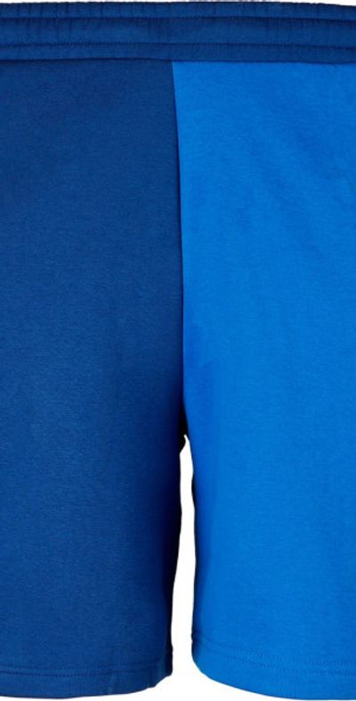 PUMA PUMA BMW M Motorsport Sweat Shorts
