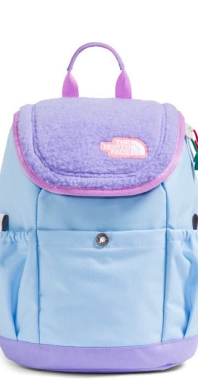 north face childrens backpack The Youth Mini Explorer – Saint Bernard No time to waste Kids' Mini Explorer Backpack |