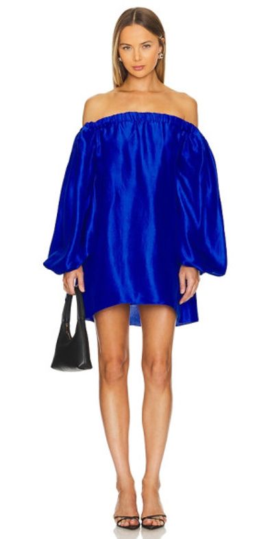 knee length dresses for ladies Sable Organza Embellished Mini Dress – Azeeza