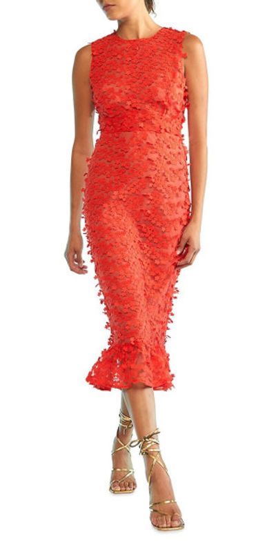 green emerald velvet dress Cynthia Rowley Garden of Eden Dress (US, Alpha, Medium, Regular, Regular,  GRNFL) Green at Amazon Women's Clothing store main image 0