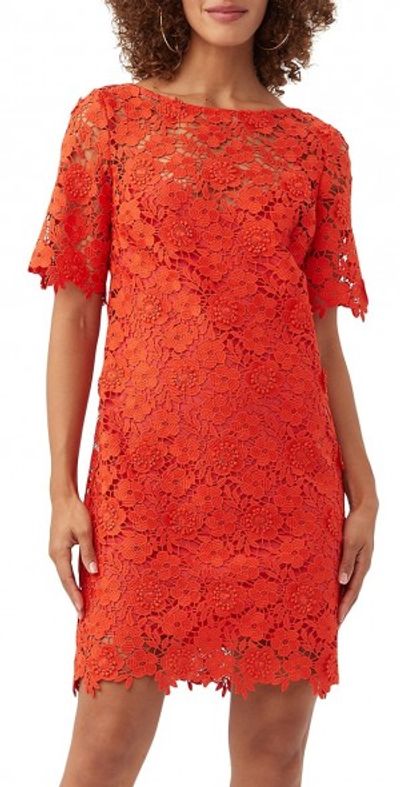 Trina Turk Women's Sun Floral Lace Minidress