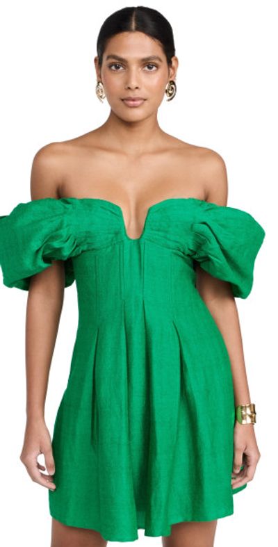 Cult Gaia Dresses