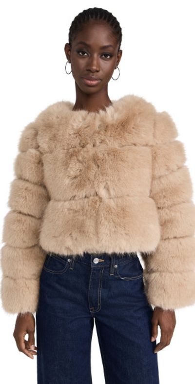 fur lined dress jacket Maple Mocha Faux Fur Lapel Jacket