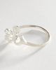 10 DECOART Radish Ring - 2