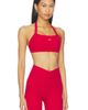 437 437 The Halter Bra - 2