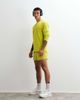 4505 4505 Icon 3 inch quick dry running shorts with back phone pocket in apple green - 1