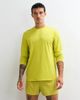 4505 4505 Icon 3 inch quick dry running shorts with back phone pocket in apple green - 2