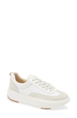 4CCCCEES 4CCCCEES Ray Reta Sneaker