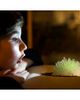 4M 4M Glow Crystal Growing Kit, DIY Science, Geology Experiment, 10+ - 4