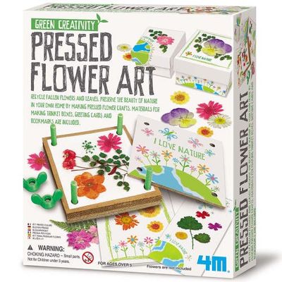 4M 4M Green Creativity Pressed Flower Art Diy
