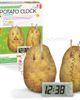 4M 4M Green Science Potato Clock Diy Renewable Energy Kit, Power Digital Clock - 2