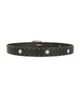 8 Other Reasons 8 Other Reasons Statement Belt - 2