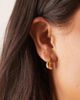 Abbott Lyon Abbott Lyon mini molten hoop earrings in 18k gold plated waterproof stainless steel - 3