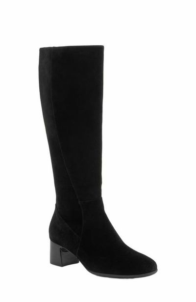 ABEO ABEO Avenue Tall Boot