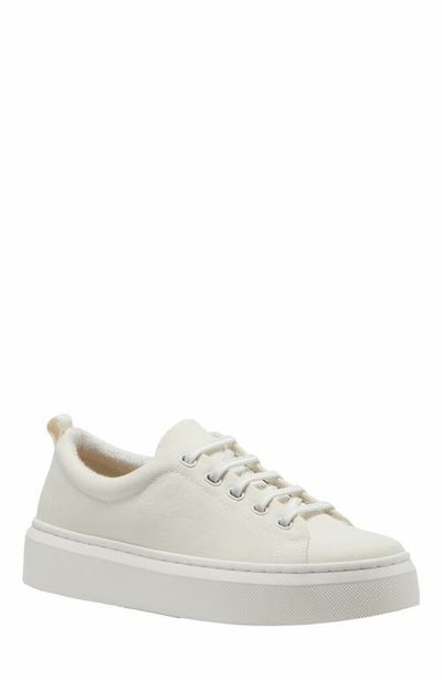 ABEO ABEO Jumpstreet Bungee Sneaker