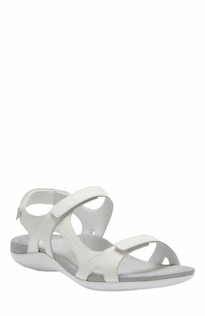 ABEO ABEO Oasis Sport Sandal