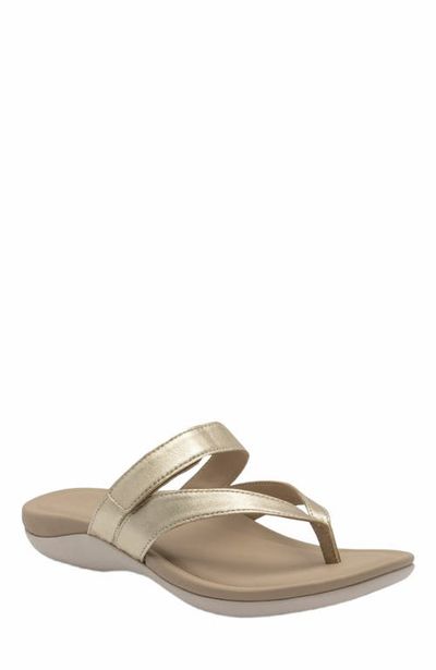 ABEO ABEO Oasis Thong Sandal